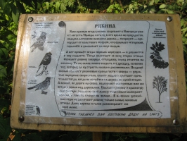 Перынь (Часть 2) - Табличка с обстоятельным рассказом о местной флоре