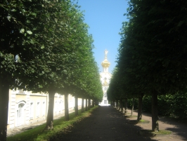 Верхний сад - Вид на гербовый флигель Большого дворца